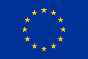 flag_yellow_low